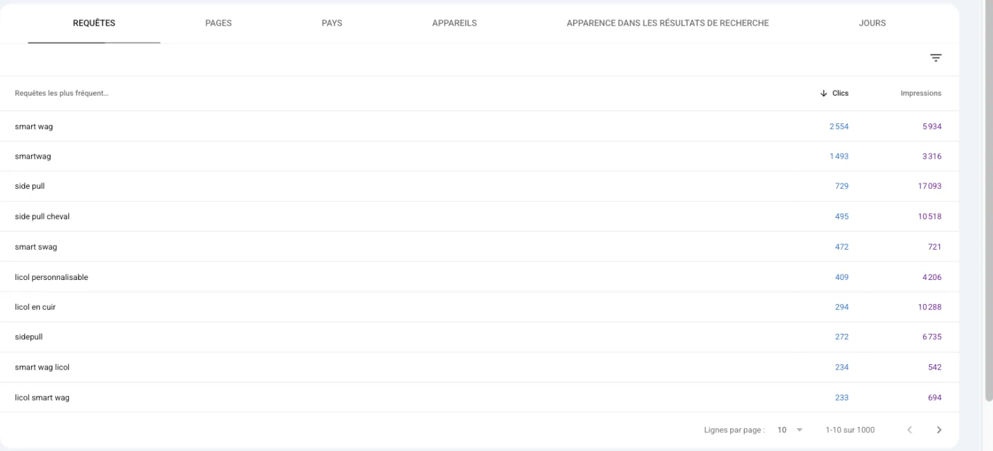 Onglet Requêtes de Search Console pour smartwag.com : dix premières requêtes avec leurs clics et impressions sur 12 mois
