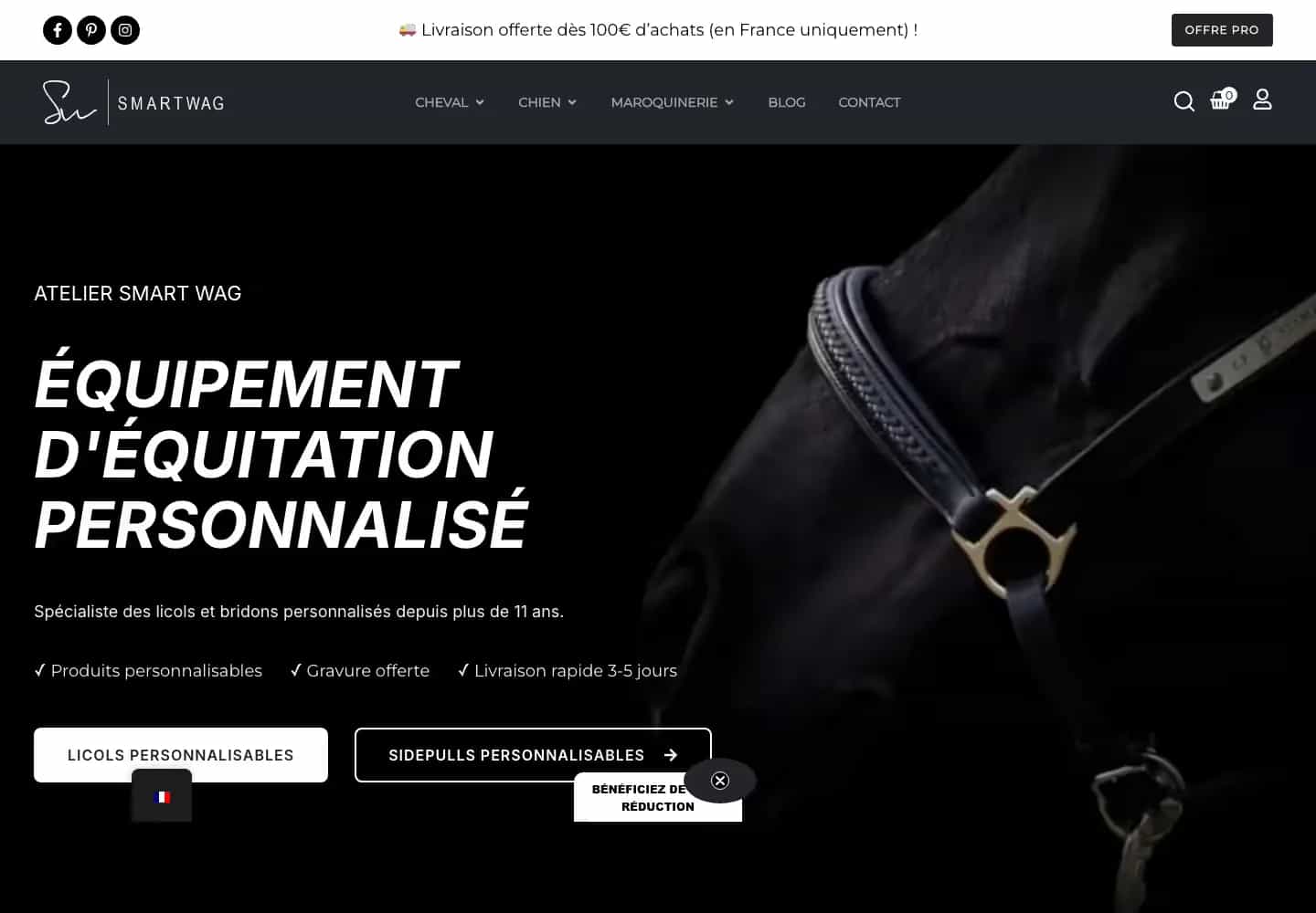 Accueil Smartwag en desktop, navigation cheval, chien, maroquinerie et blog