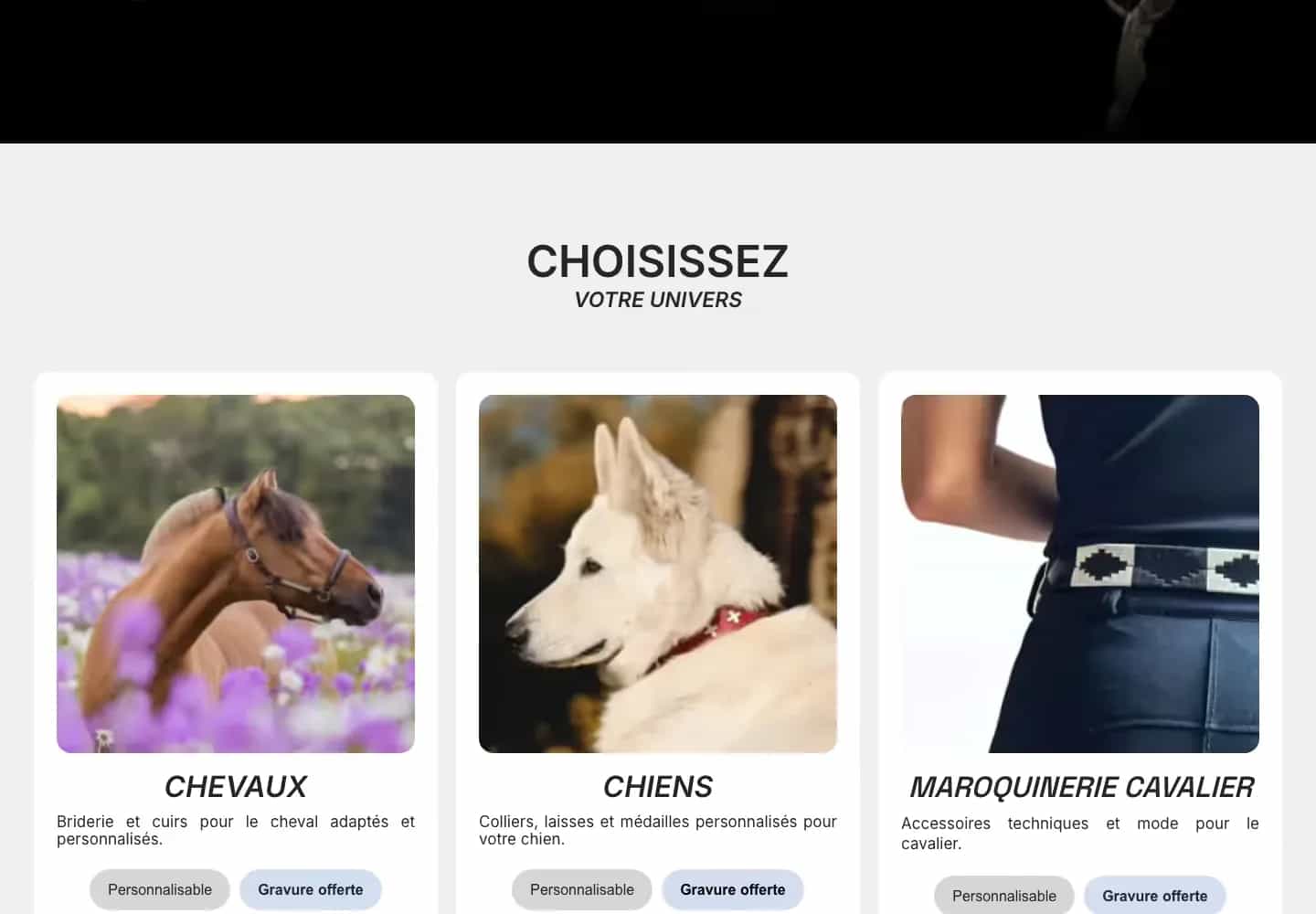 Section « Choisissez votre univers » du site Smartwag avec les trois entrées chevaux, chiens et maroquinerie