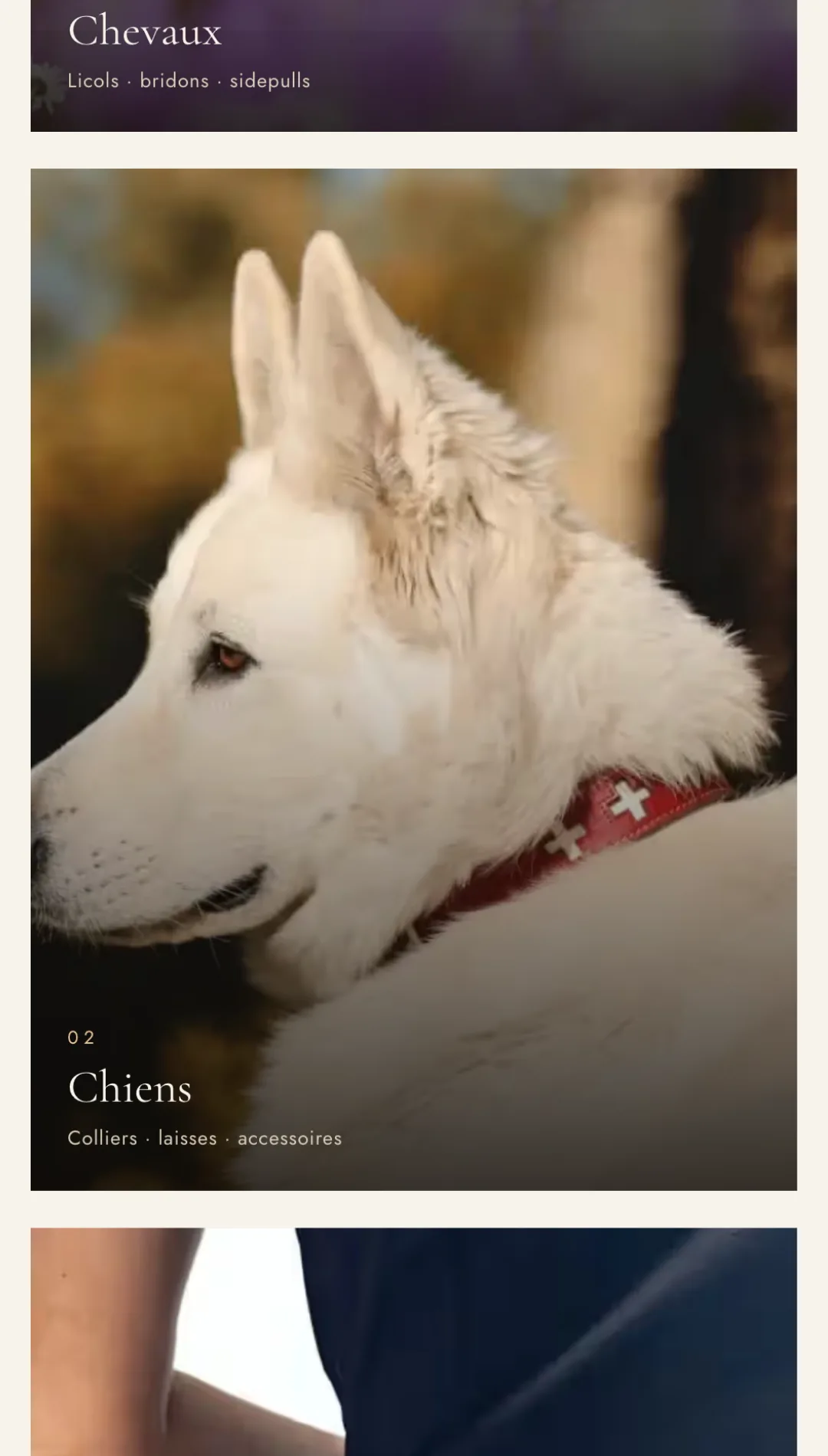 Univers Chevaux et Chiens de Smartwag en version mobile